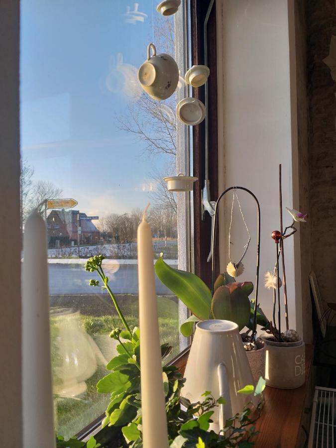 Bed and Breakfast Ahoi Wesselburenerkoog Экстерьер фото